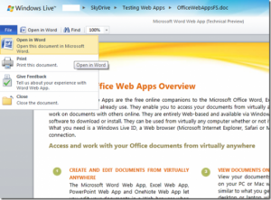 MicrosoftWordWebApp