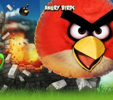 angry birds game