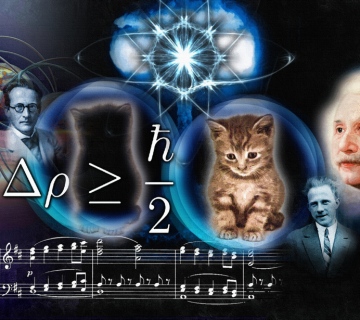 A Survey Of The Complementarity Principle