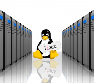 Linux Dedicated Hosting – Must Know Facts