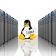 Linux Dedicated Hosting – Must Know Facts