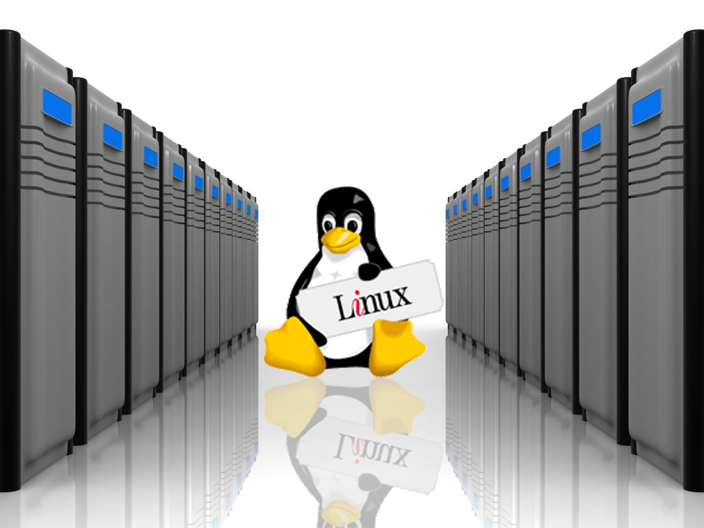 Linux Dedicated Hosting – Must Know Facts