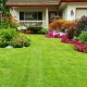 Experience The Splendor Of Landscaping With Ultimate Services Professional Grounds Management