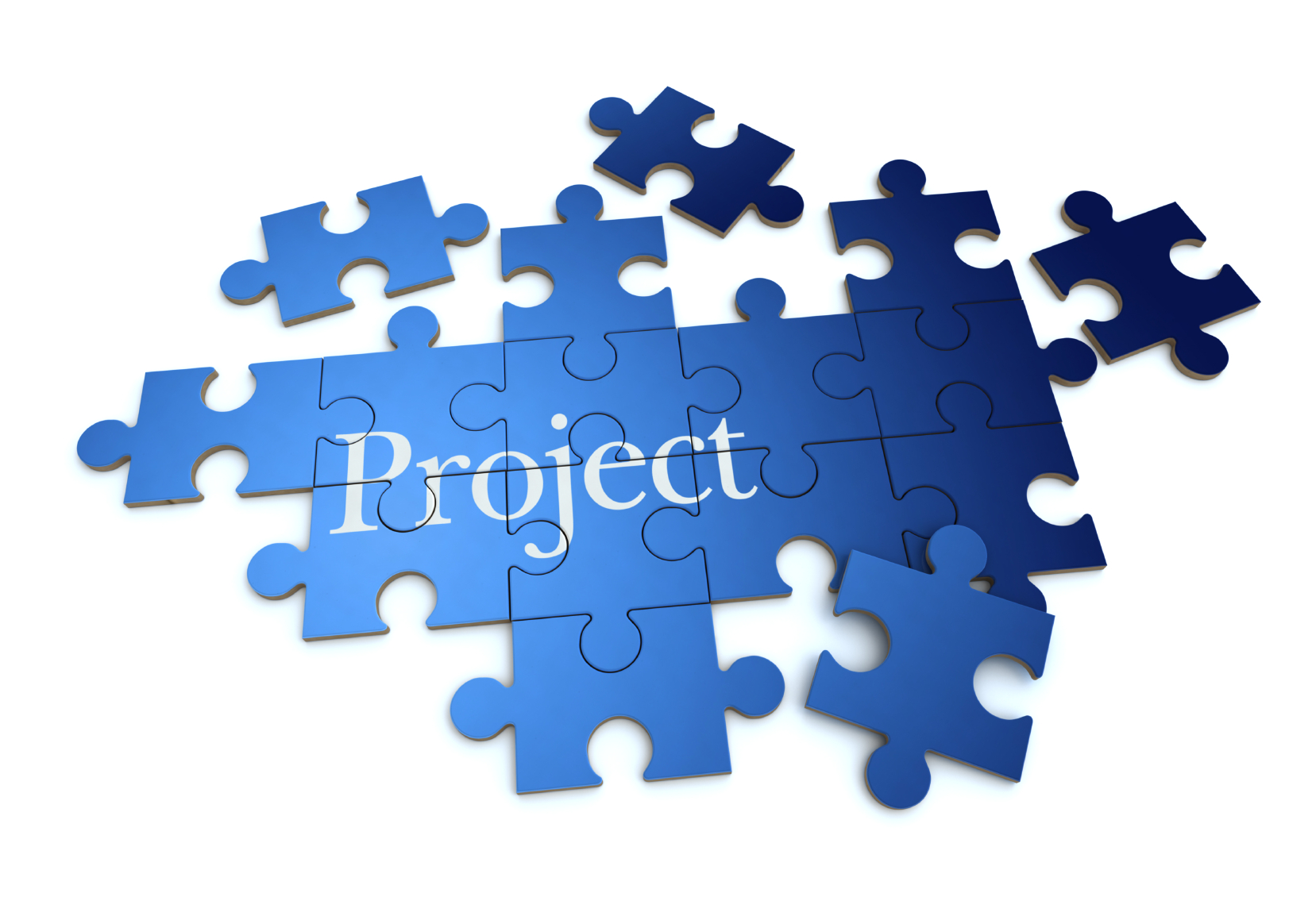 Project Management Software