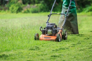DIY Lawn Maintenance Tools You'll Need