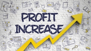 4 Ways to Increase the Profitability of your Business