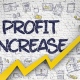 4 Ways to Increase the Profitability of your Business