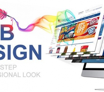 How To Choose A Website Design Company In Jaipur?