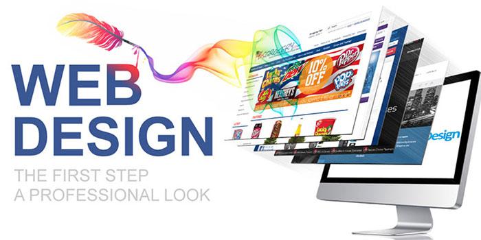 How To Choose A Website Design Company In Jaipur?